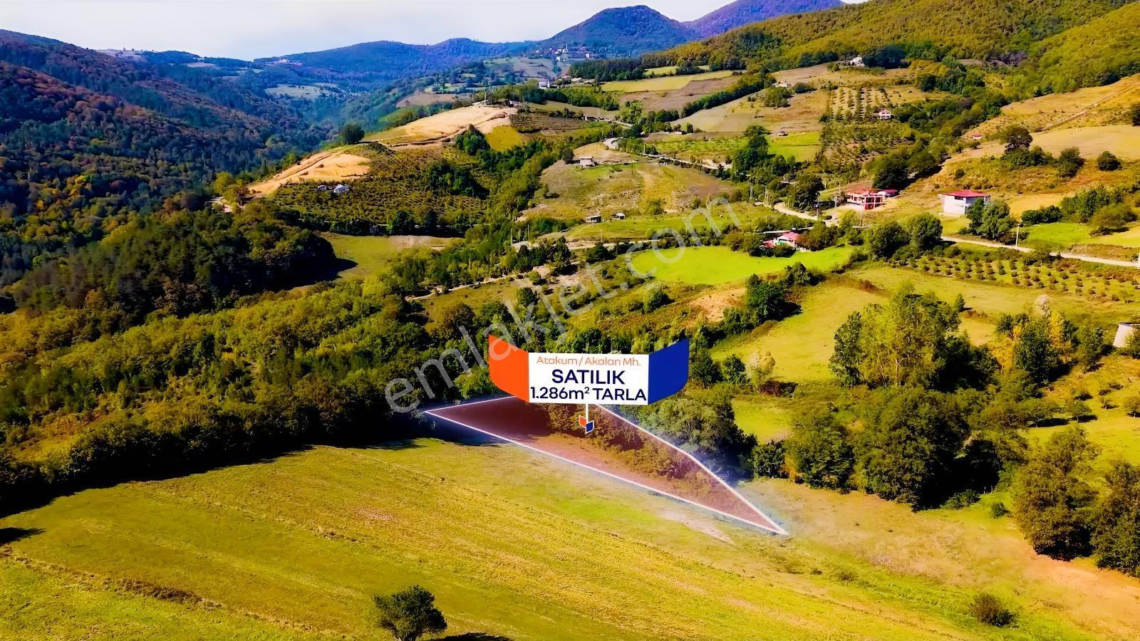 Samsun Atakum Akalan Mahallesinde 1.286 M² Satılık Tarla — fotoğraf 17
