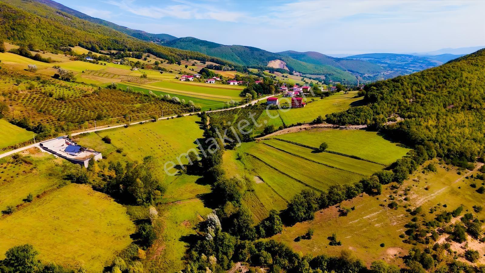 Samsun Atakum Akalan Mahallesinde 1.286 M² Satılık Tarla — fotoğraf 18