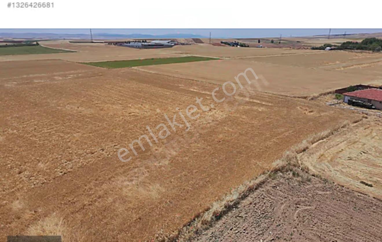 Ar-055 Keskin Mahallesinde Yatırıma Uygun Fırsat Tarla — fotoğraf 3