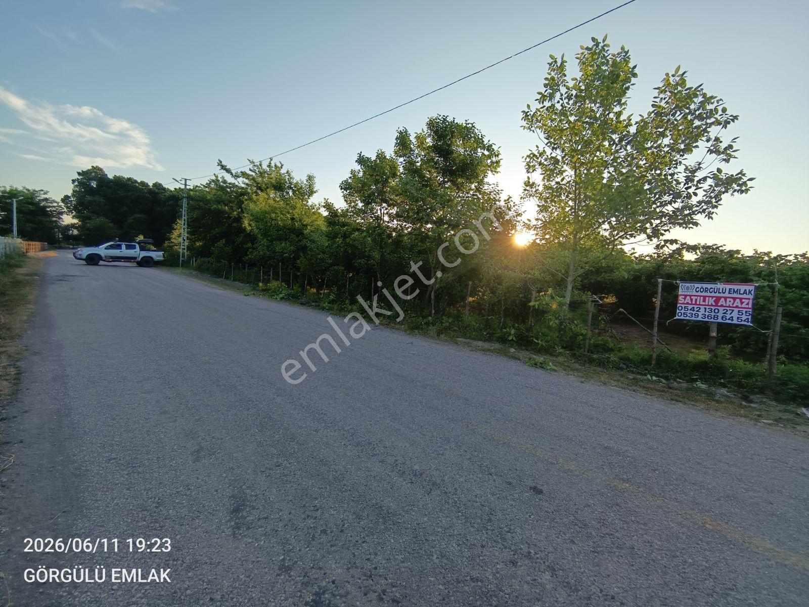 Görgülü Emlaktan Acil Satılık Fındık Bahçesi — fotoğraf 4