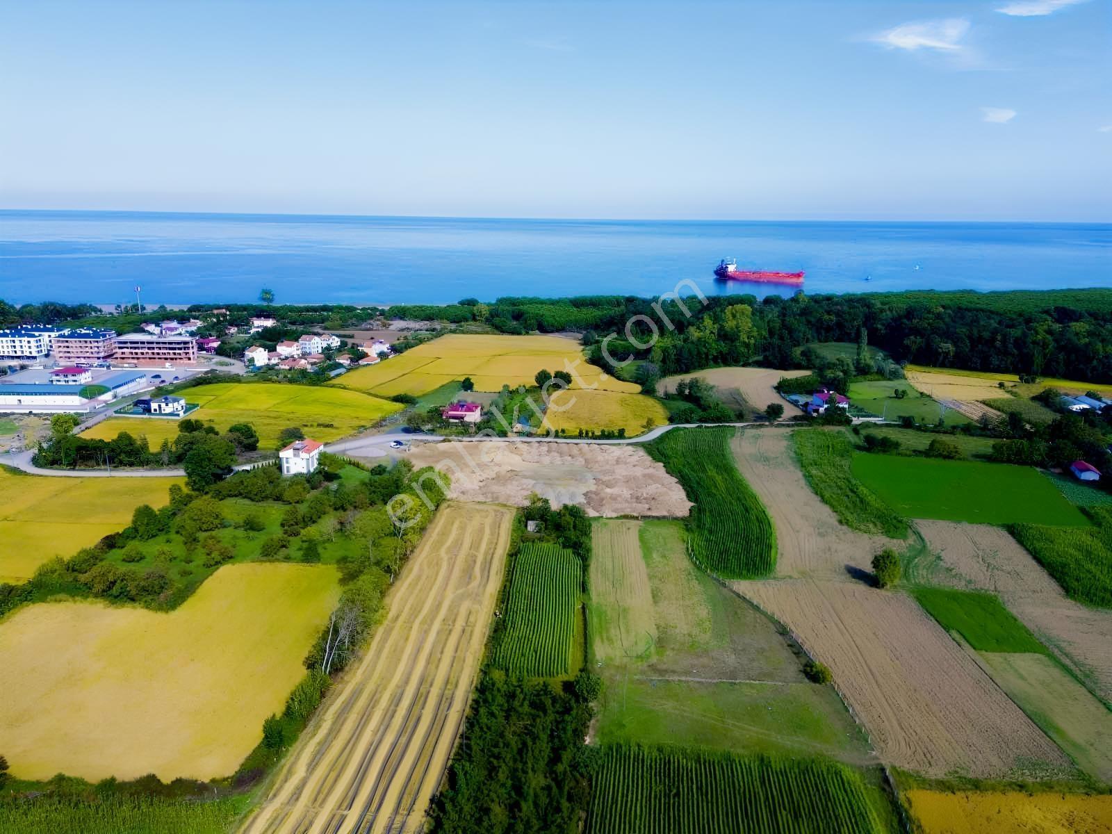 Bölgenin İmar Sınırında Bulunan En Uygun Fırsat Arazisi — fotoğraf 8
