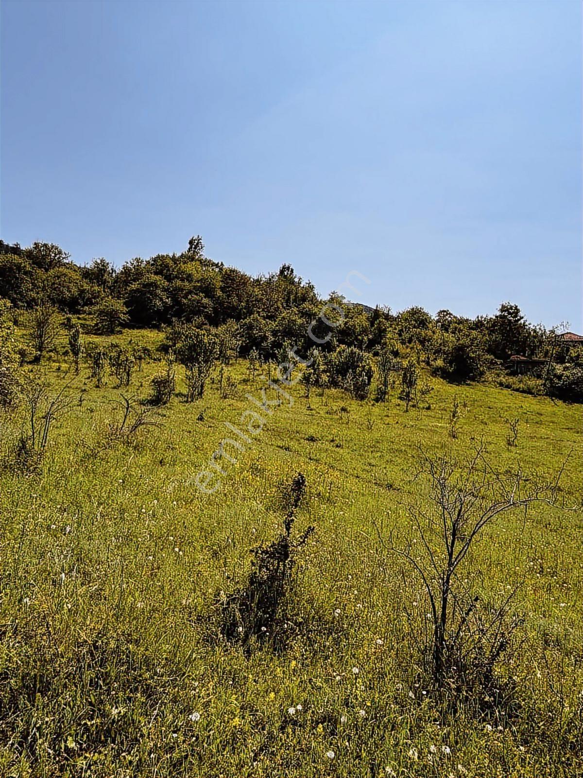 Menderes Yavuz'dan Karabük Ovacık Merkezde Satılık İmarlı Arsa — fotoğraf 2
