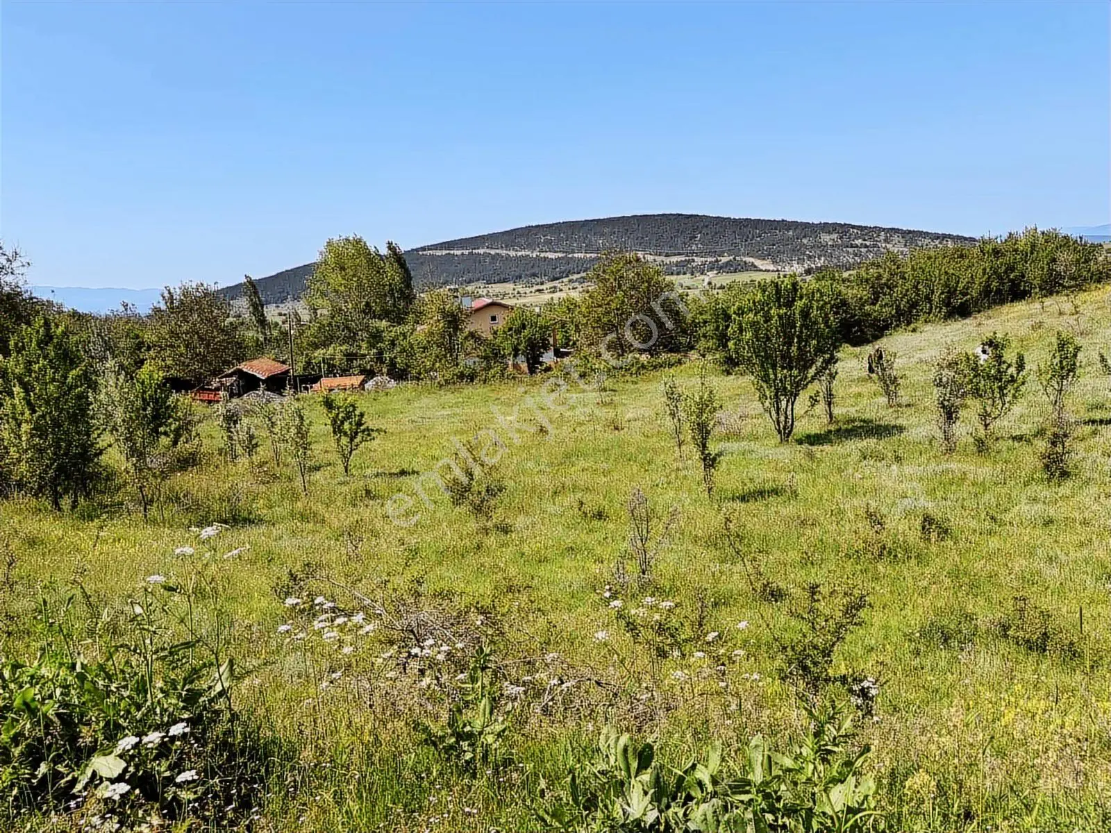 Menderes Yavuz'dan Karabük Ovacık Merkezde Satılık İmarlı Arsa — fotoğraf 24