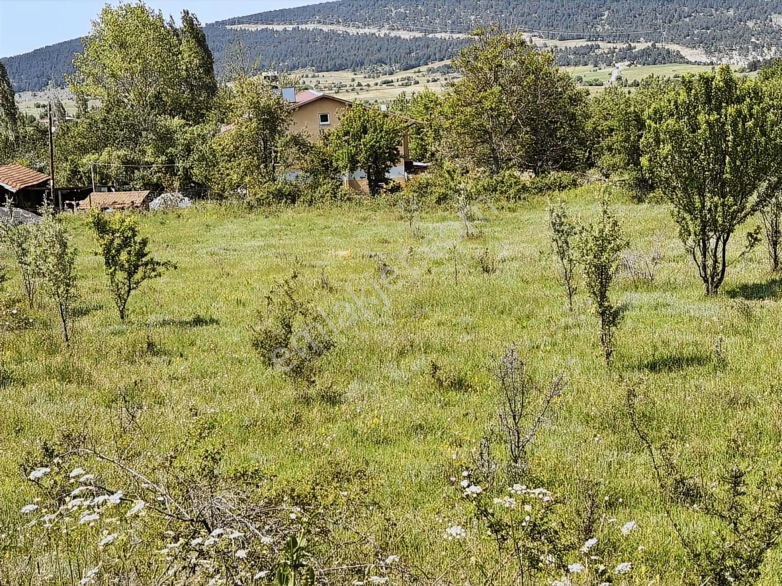 Menderes Yavuz'dan Karabük Ovacık Merkezde Satılık İmarlı Arsa — fotoğraf 25
