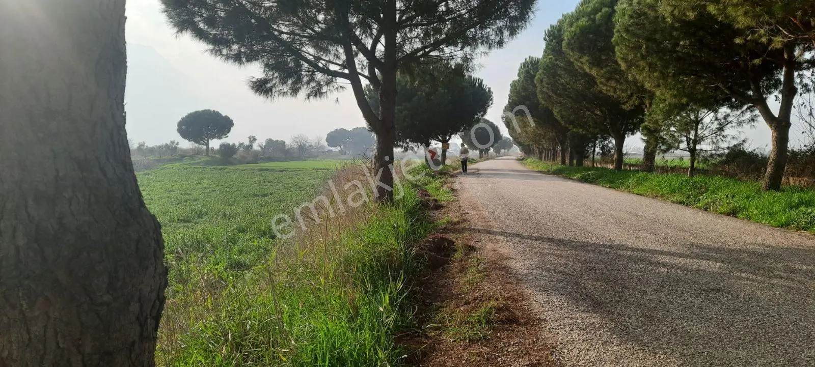 Yeniharmandalı'nda Köye Yakın Asfalta Sıfır 5600m2 Satılık Tarla — fotoğraf 2