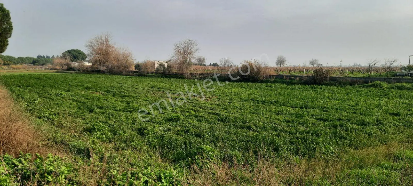 Yeniharmandalı'nda Köye Yakın Asfalta Sıfır 5600m2 Satılık Tarla — fotoğraf 3