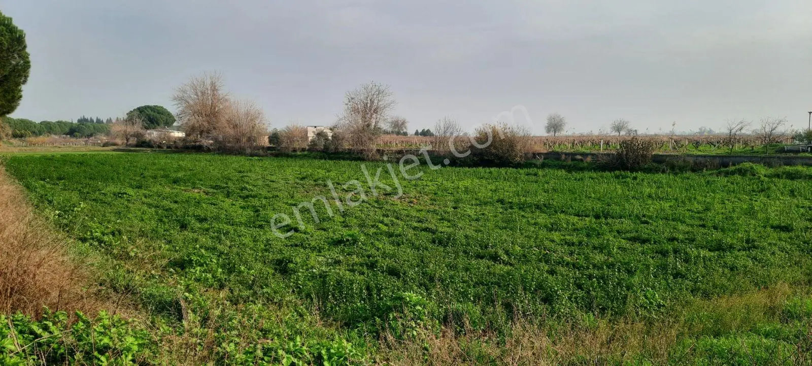 Yeniharmandalı'nda Köye Yakın Asfalta Sıfır 5600m2 Satılık Tarla — fotoğraf 4