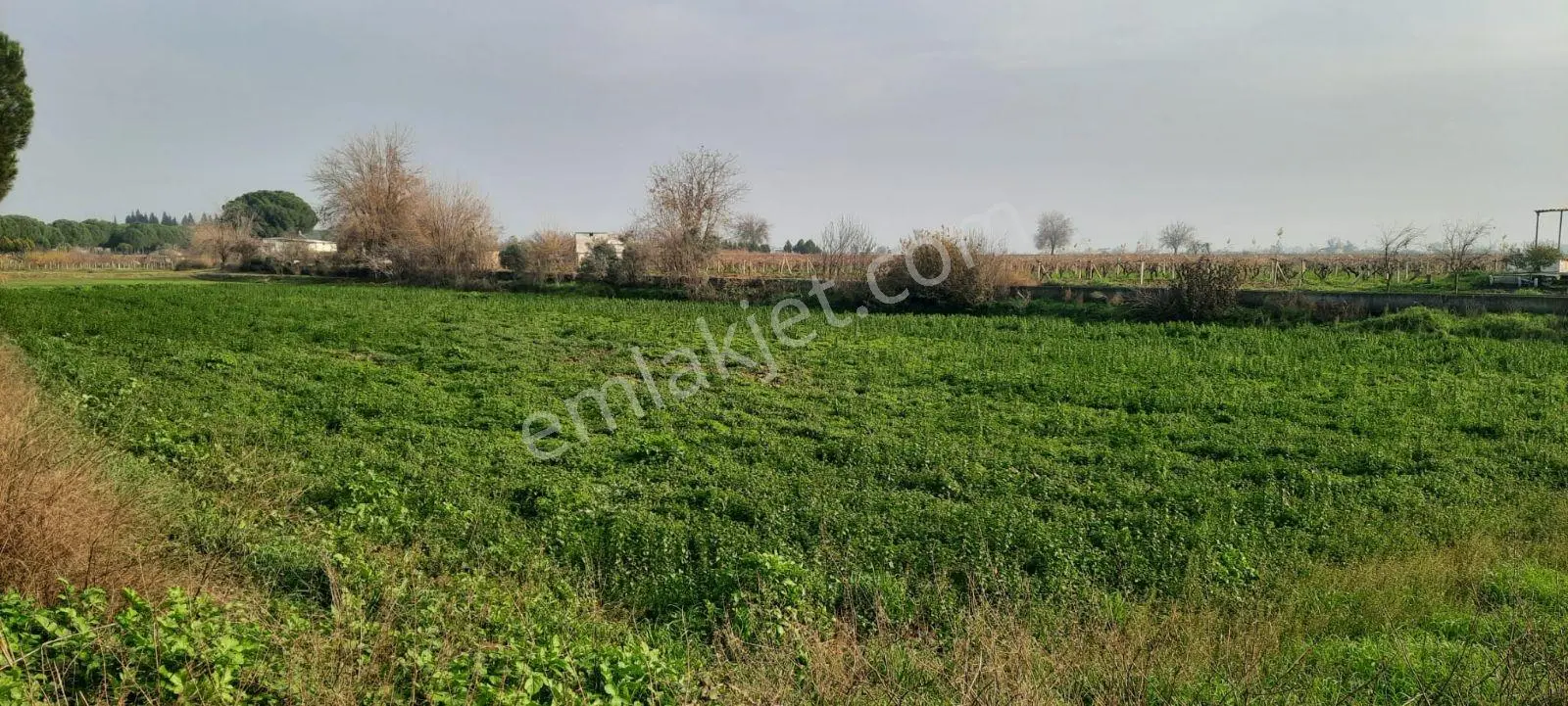 Yeniharmandalı'nda Köye Yakın Asfalta Sıfır 5600m2 Satılık Tarla — fotoğraf 6