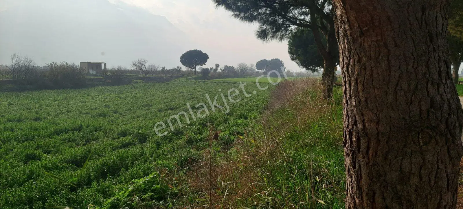 Yeniharmandalı'nda Köye Yakın Asfalta Sıfır 5600m2 Satılık Tarla — fotoğraf 8