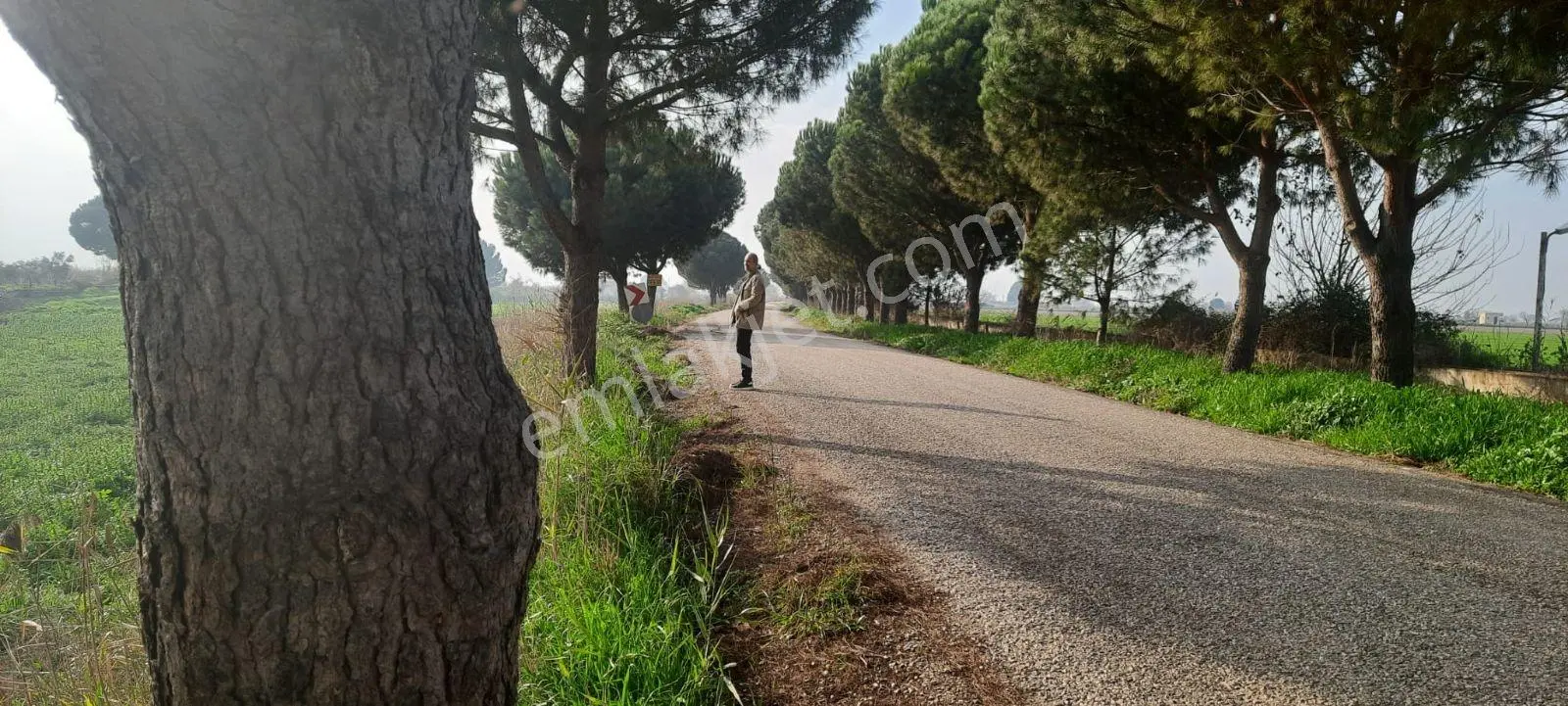 Yeniharmandalı'nda Köye Yakın Asfalta Sıfır 5600m2 Satılık Tarla — fotoğraf 9