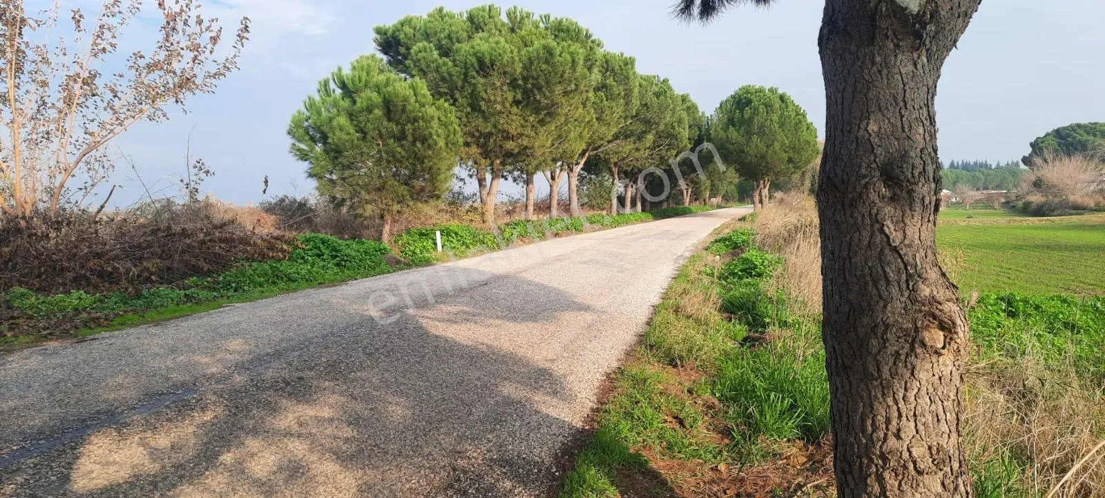 Yeniharmandalı'nda Köye Yakın Asfalta Sıfır 5600m2 Satılık Tarla — fotoğraf 10