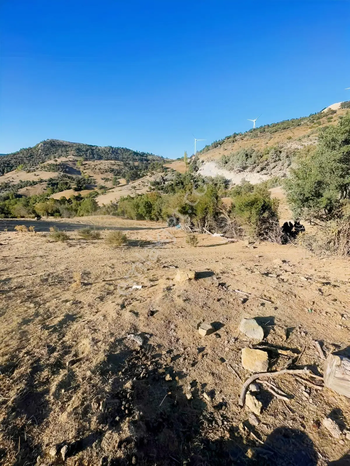 Balcity-havran Kocaseyit'de 1.745 M² Asfalta Cephe Satılık Tarla — fotoğraf 3
