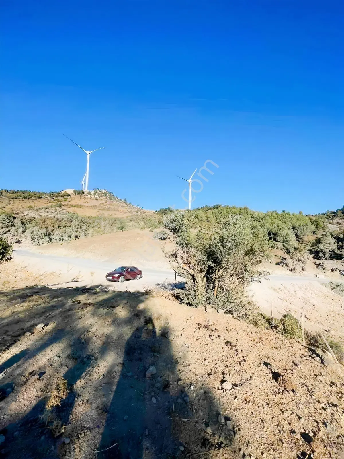 Balcity-havran Kocaseyit'de 1.745 M² Asfalta Cephe Satılık Tarla — fotoğraf 6