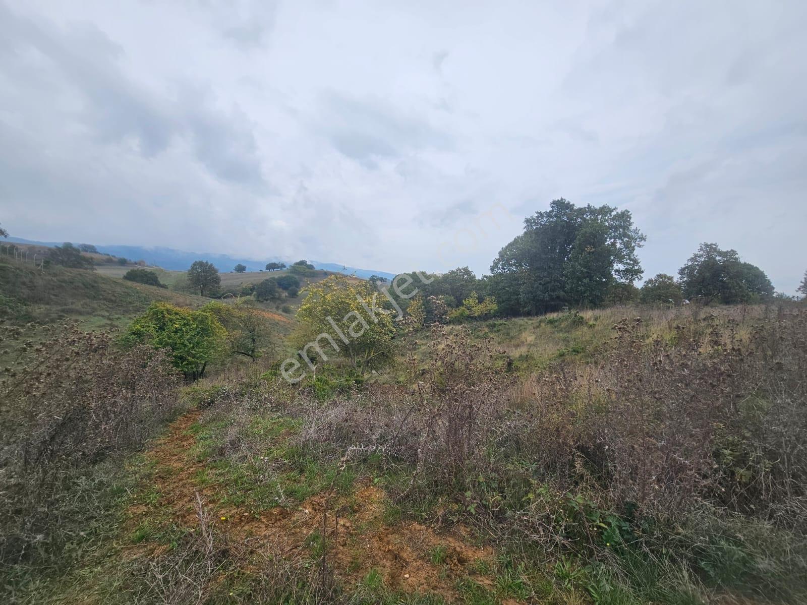 Güney Köyde Satılık Tarla — fotoğraf 3