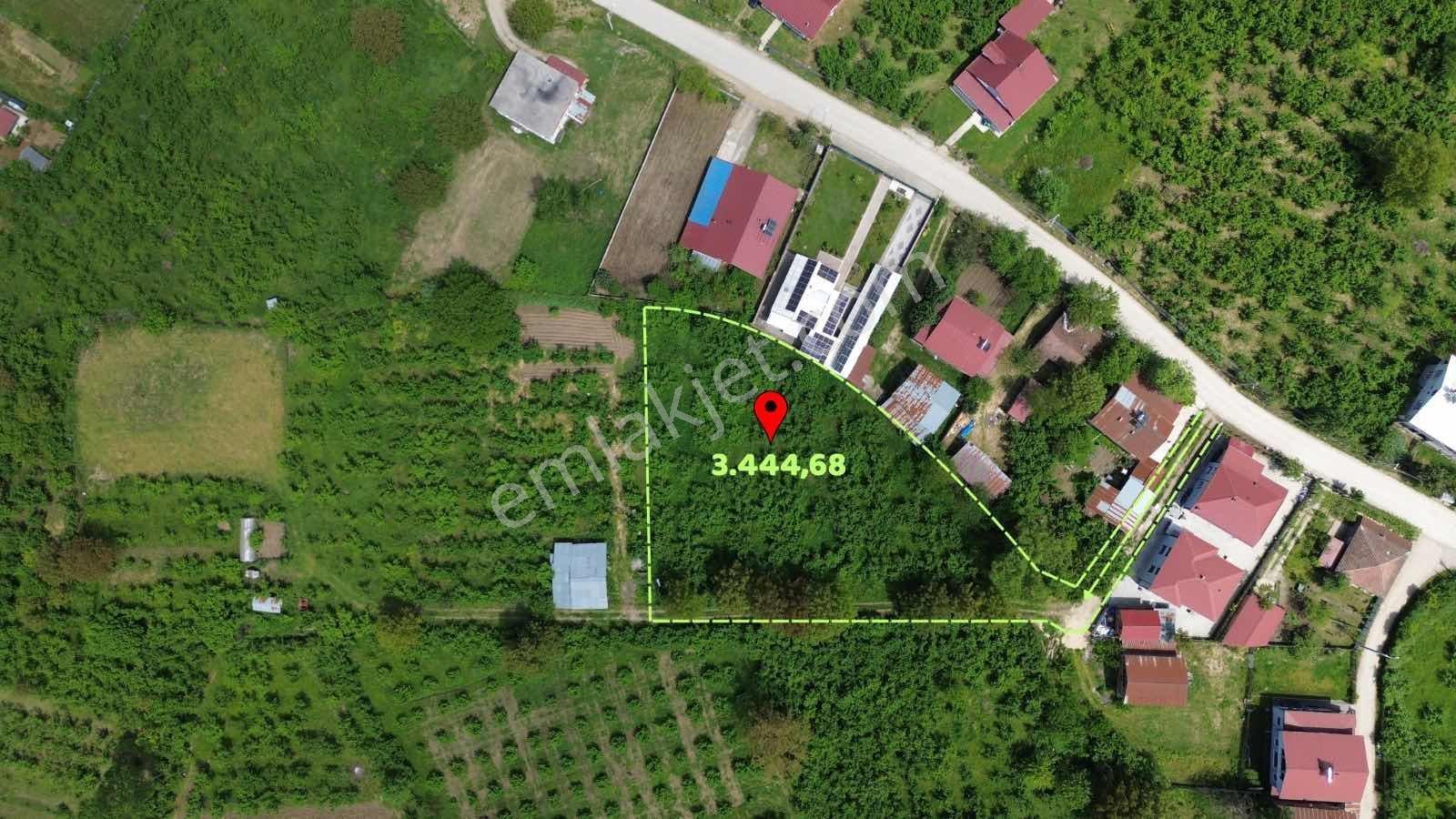 Asil Emlak | Aydınpınar Köyü 3.444 M2 Yatırımlık Arsa — fotoğraf 3