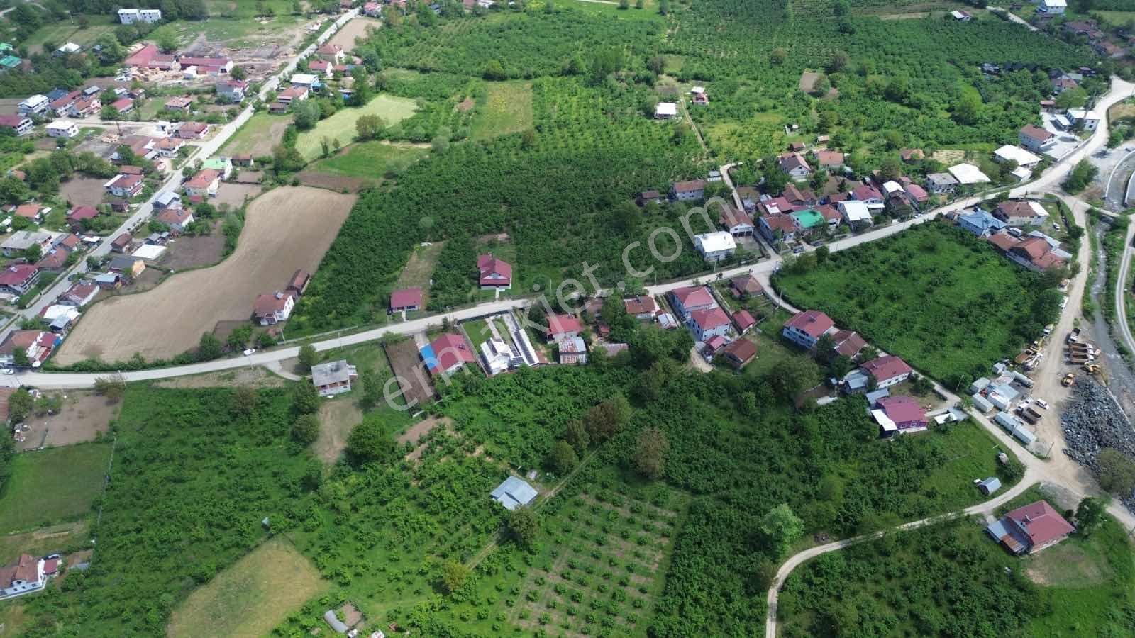 Asil Emlak | Aydınpınar Köyü 3.444 M2 Yatırımlık Arsa — fotoğraf 4