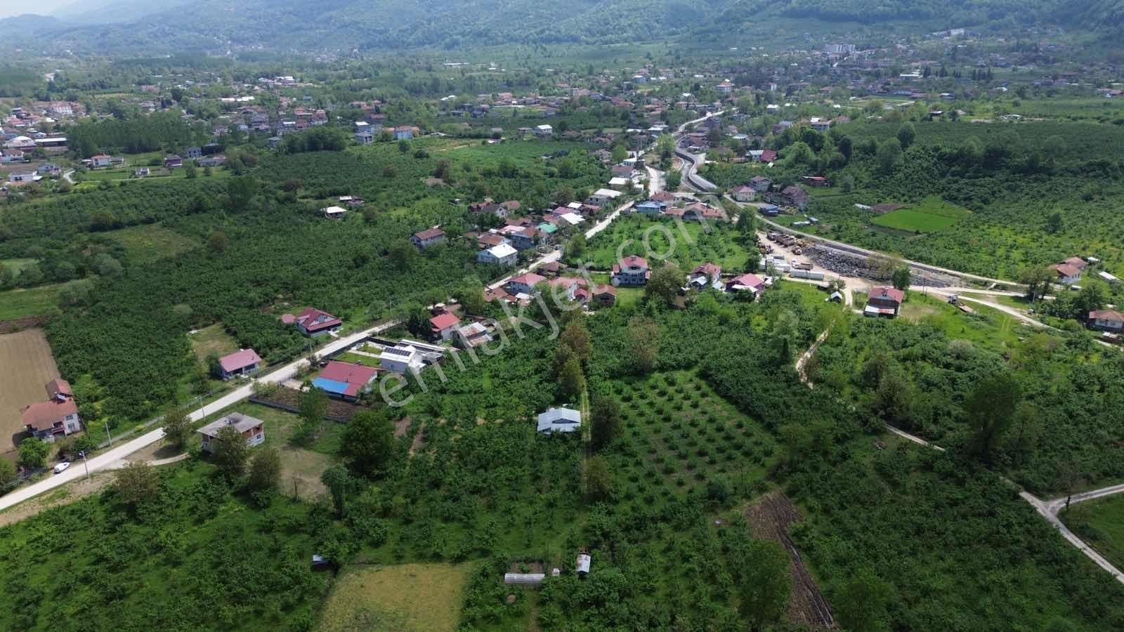 Asil Emlak | Aydınpınar Köyü 3.444 M2 Yatırımlık Arsa — fotoğraf 5