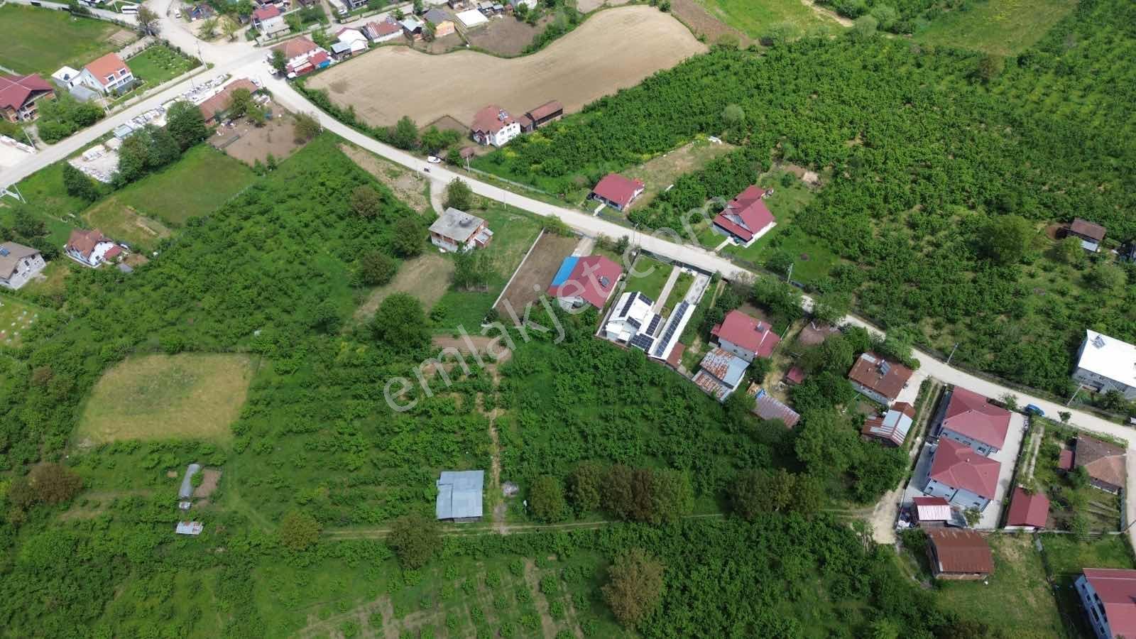 Asil Emlak | Aydınpınar Köyü 3.444 M2 Yatırımlık Arsa — fotoğraf 6