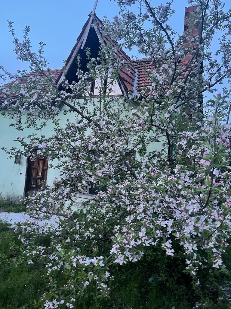 Fırsat ,Bahçeli ,Muhteşem Dağ Evi