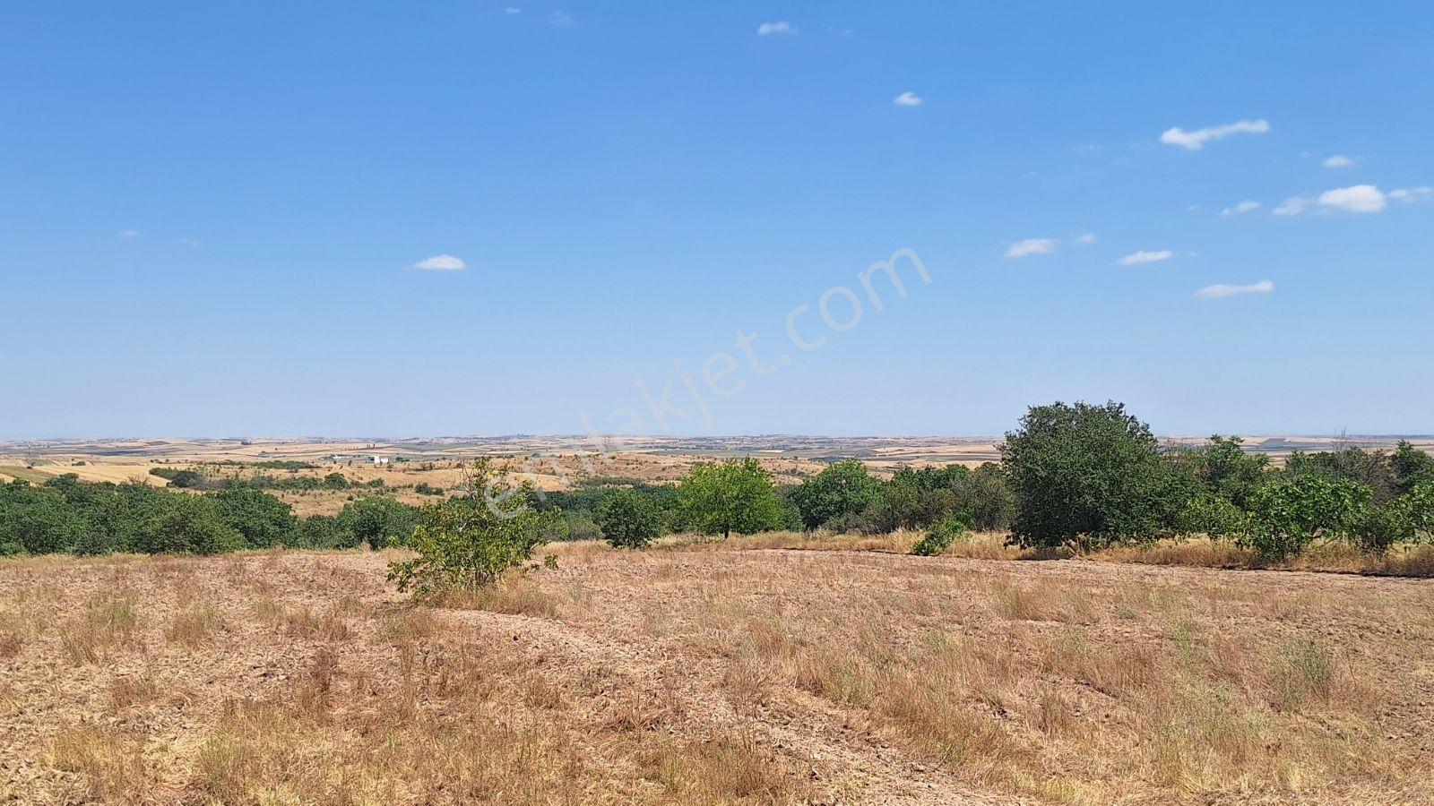 Kırcasalih Ana Yola — fotoğraf 2