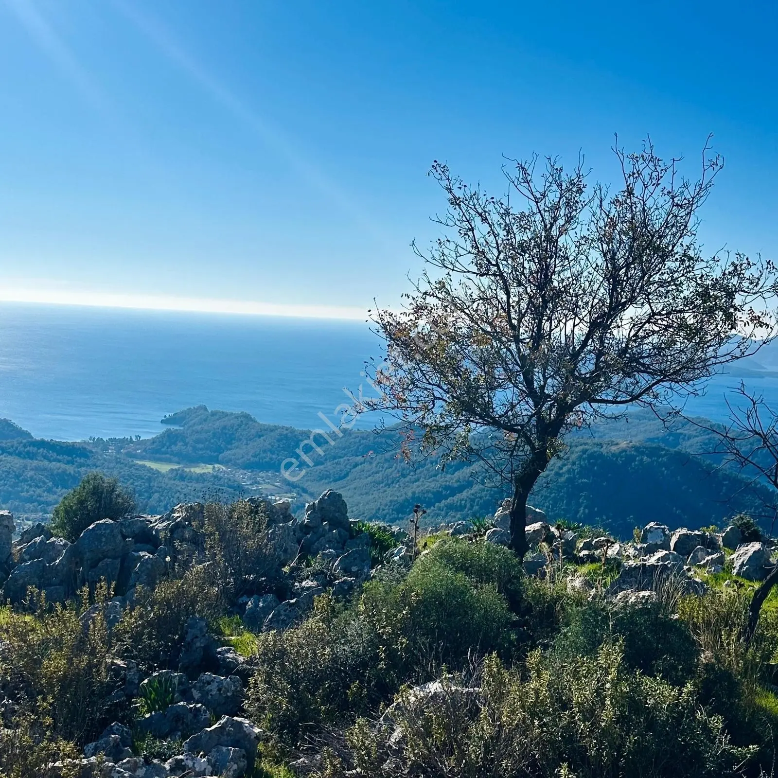 Ayşe Şengün'den Göcek'de Deniz Manzaralı Satılık Tarla — fotoğraf 5