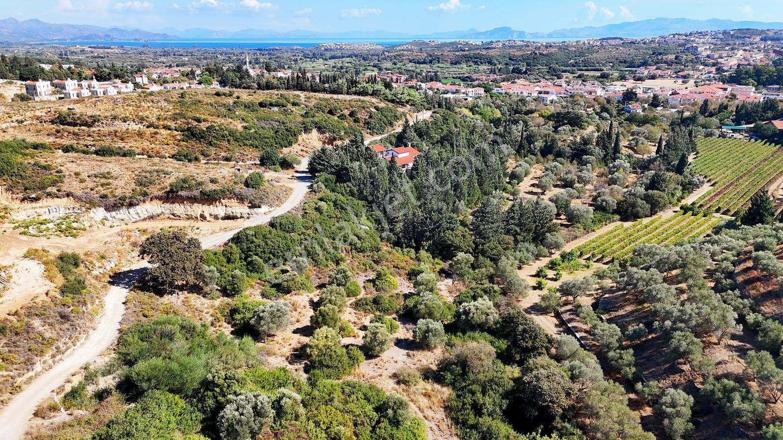 Datça Reşadiye'de Yatırımlık Satılık 8,267 M2 Tarla — fotoğraf 7