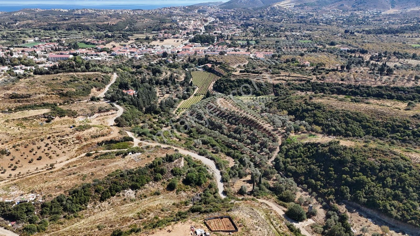 Datça Reşadiye'de Yatırımlık Satılık 8,267 M2 Tarla — fotoğraf 11