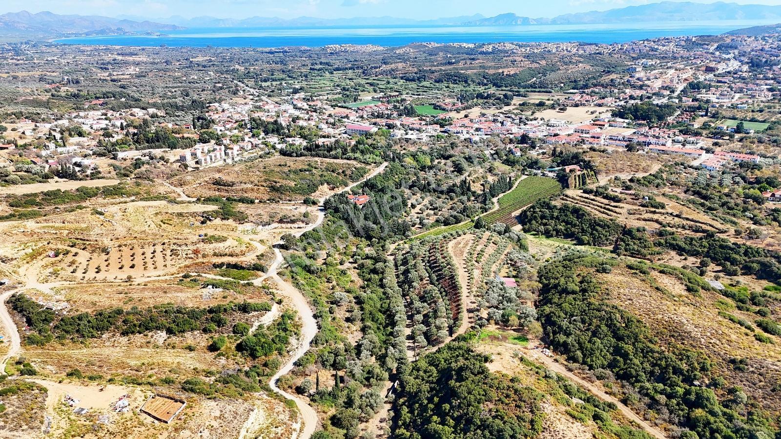 Datça Reşadiye'de Yatırımlık Satılık 8,267 M2 Tarla — fotoğraf 13
