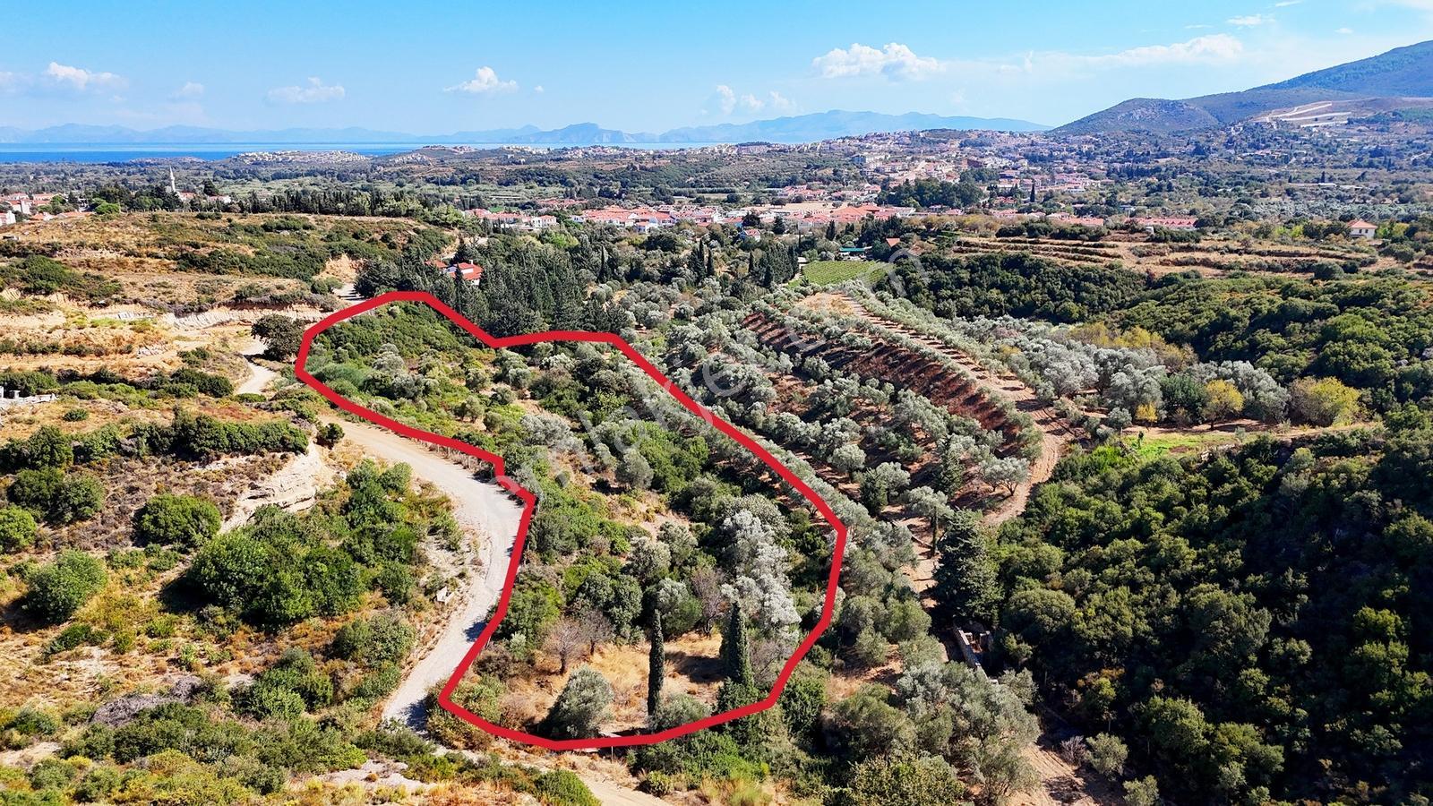 Datça Reşadiye'de Yatırımlık Satılık 8,267 M2 Tarla — fotoğraf 27