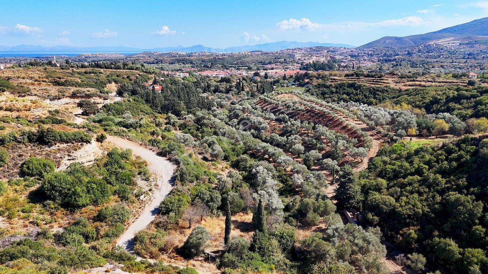 Datça Reşadiye'de Yatırımlık Satılık 8,267 M2 Tarla — fotoğraf 28
