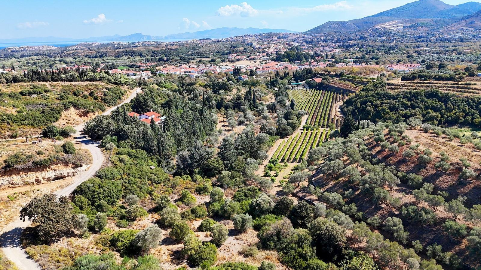 Datça Reşadiye'de Yatırımlık Satılık 8,267 M2 Tarla — fotoğraf 34