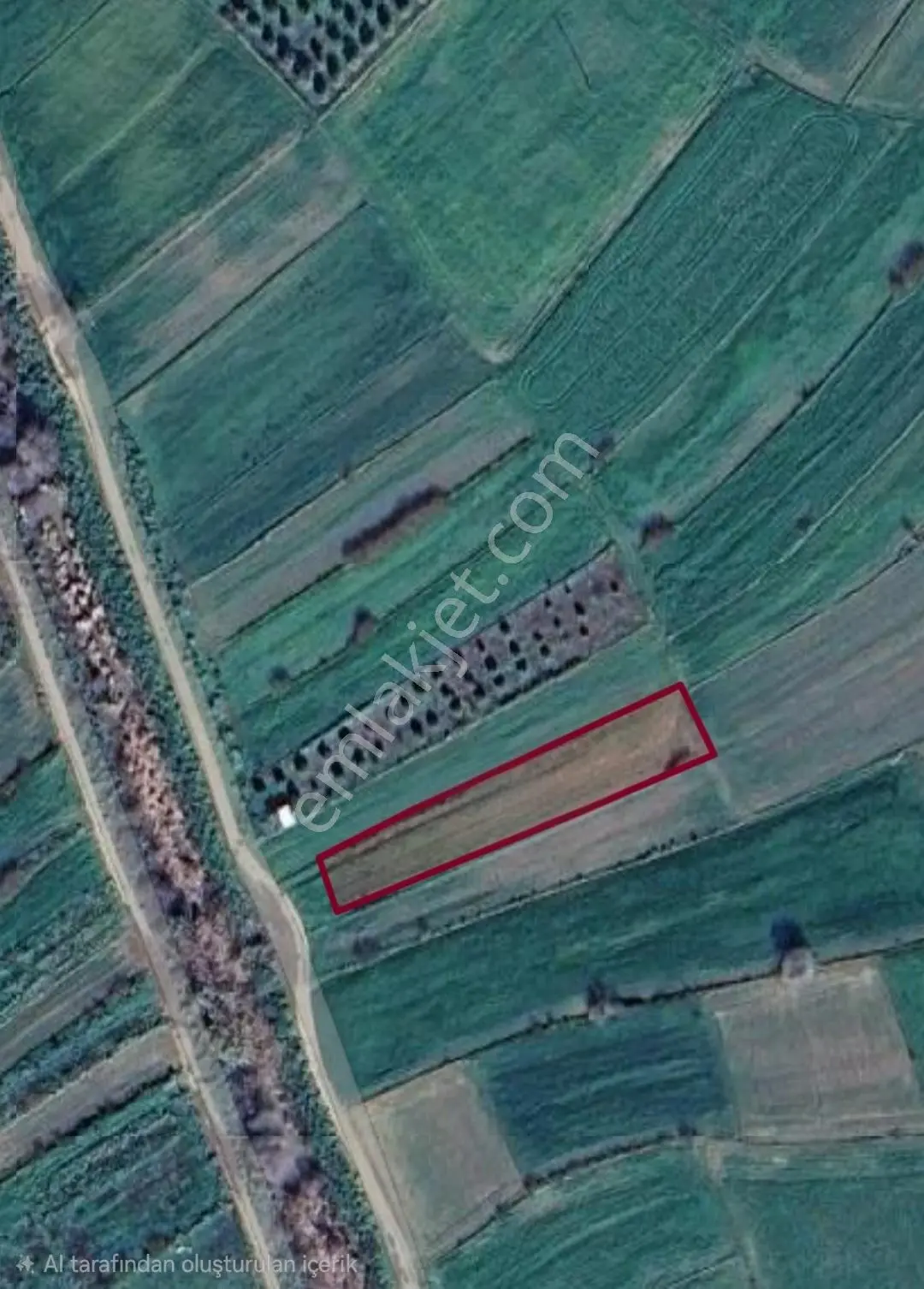 Mumcularda Ana Yola 700 Metre Mesafede 1200 M2 Tarla !