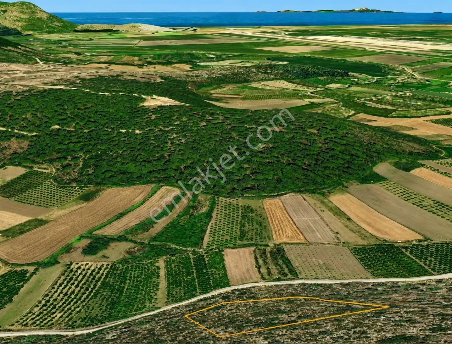 Dalaman Deniz Manzaralı Müstakil 9515 M2 Satılık Zeytinlik