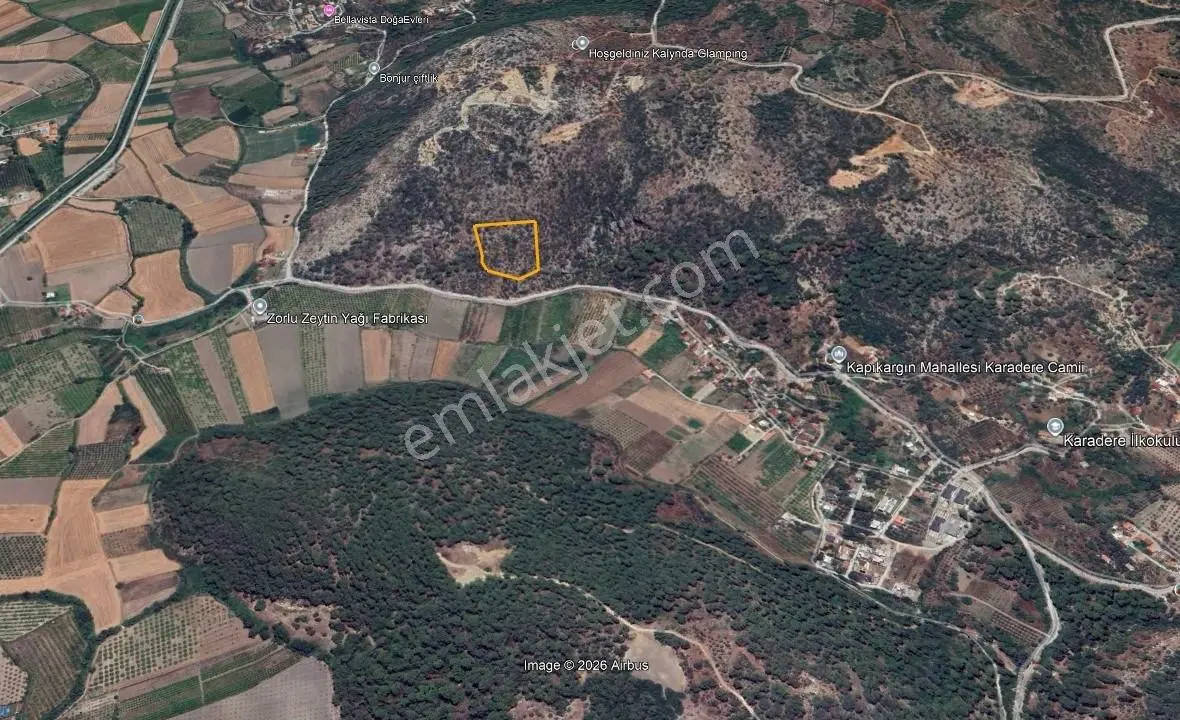 Dalaman Deniz Manzaralı Müstakil 9515 M2 Satılık Zeytinlik — fotoğraf 3
