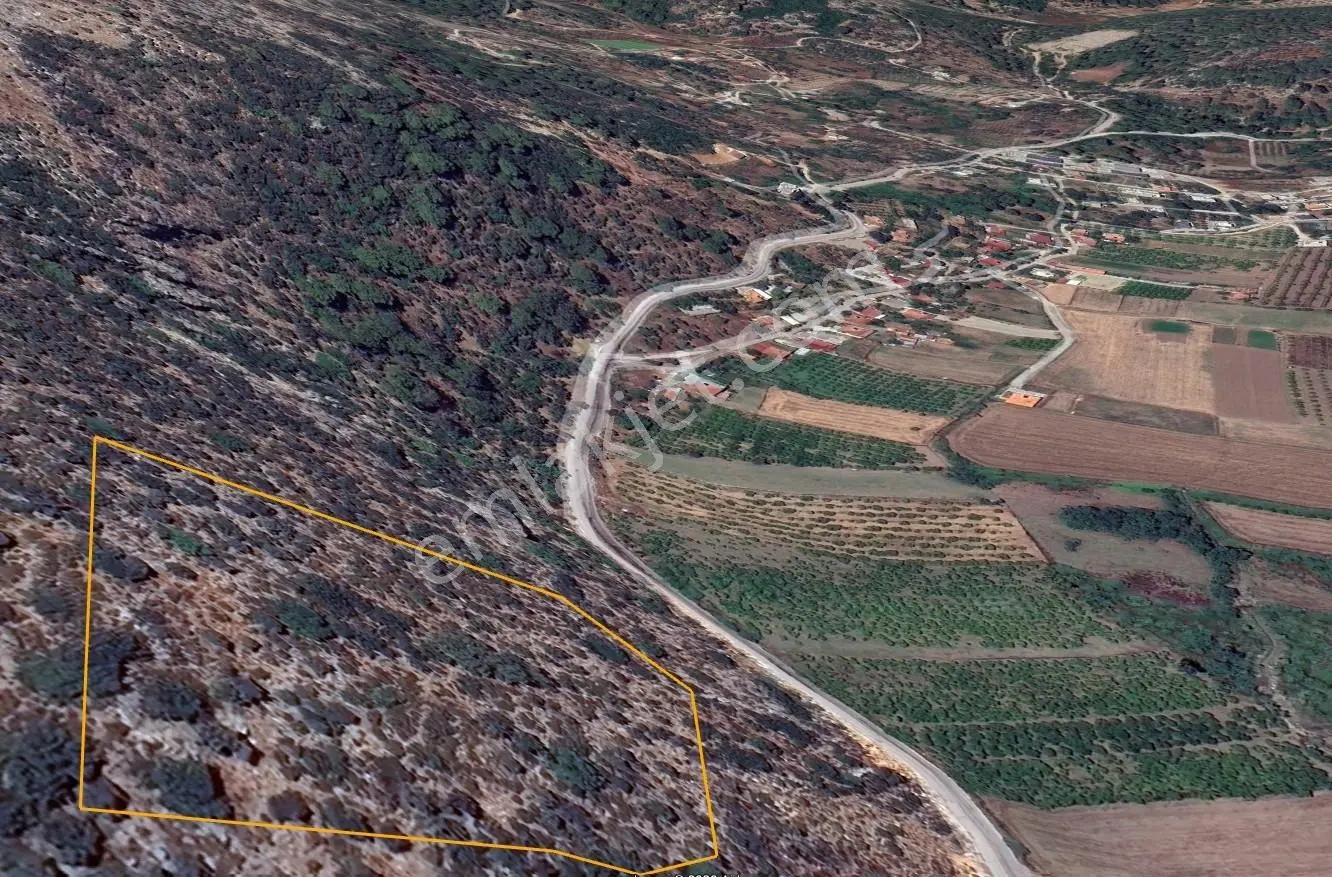 Dalaman Deniz Manzaralı Müstakil 9515 M2 Satılık Zeytinlik — fotoğraf 4