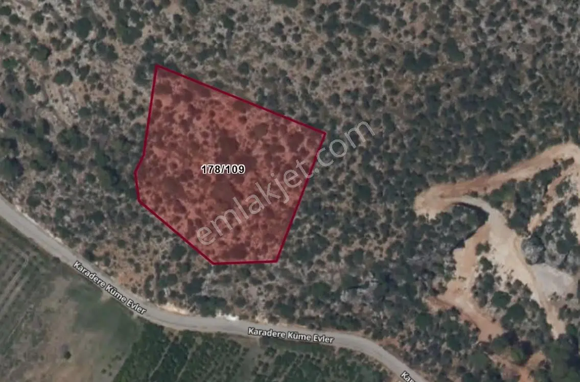 Dalaman Deniz Manzaralı Müstakil 9515 M2 Satılık Zeytinlik — fotoğraf 6