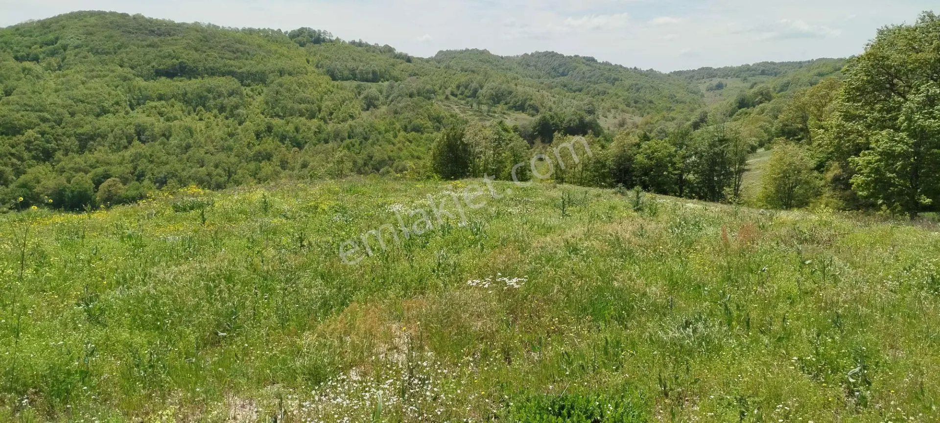 8.300 M2 Satılık Bağ Evi Ve Tarla. Keşif Arazi. Balıkesir Gönen. 25 M2 Bağ Evi Bulunmaktadır. Gü — fotoğraf 46