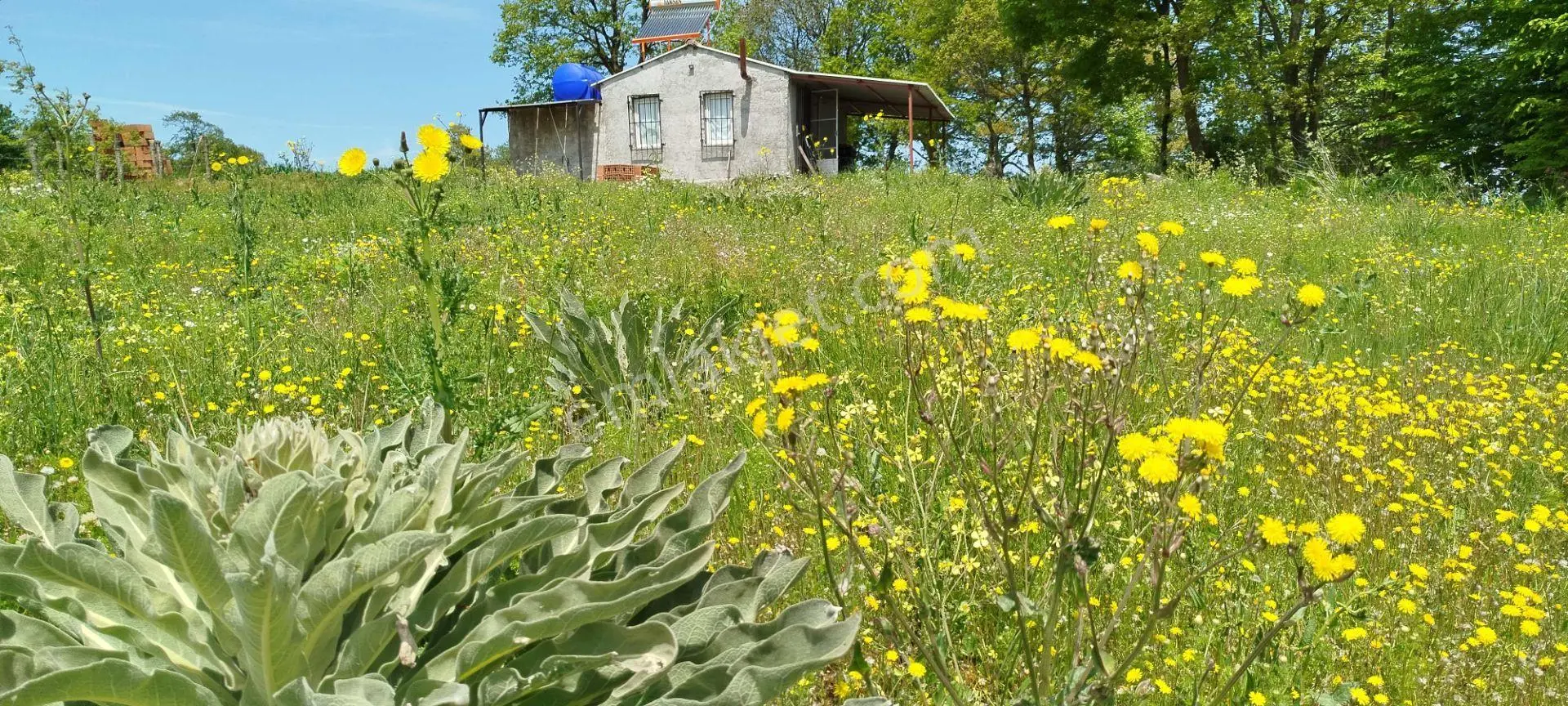 8.300 M2 Satılık Bağ Evi Ve Tarla. Keşif Arazi. Balıkesir Gönen. 25 M2 Bağ Evi Bulunmaktadır. Gü — fotoğraf 55