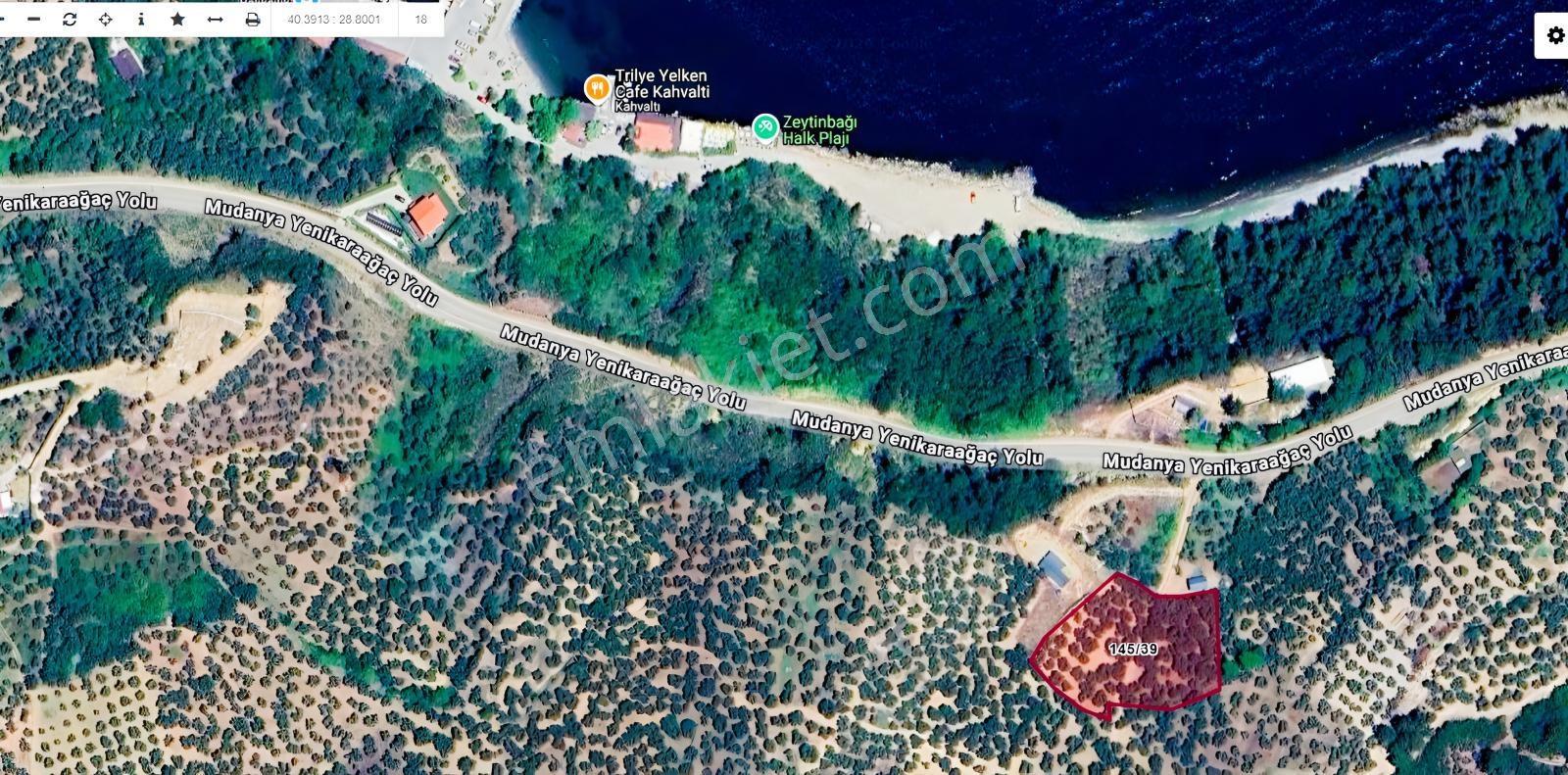 Mudanya Talatbey'De Denize Yakın Stratejik Yatırım Fırsatı!