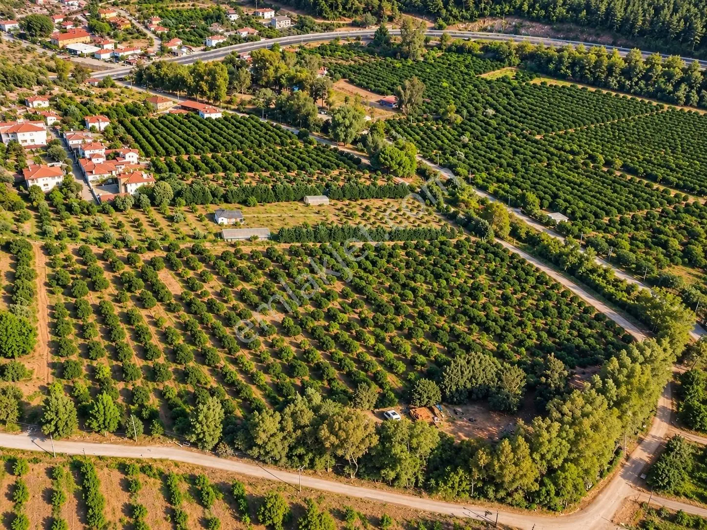 Gökçe Köyünde İmar Sınırında,denize 5 Dk Narenciye Bahçesi — fotoğraf 2
