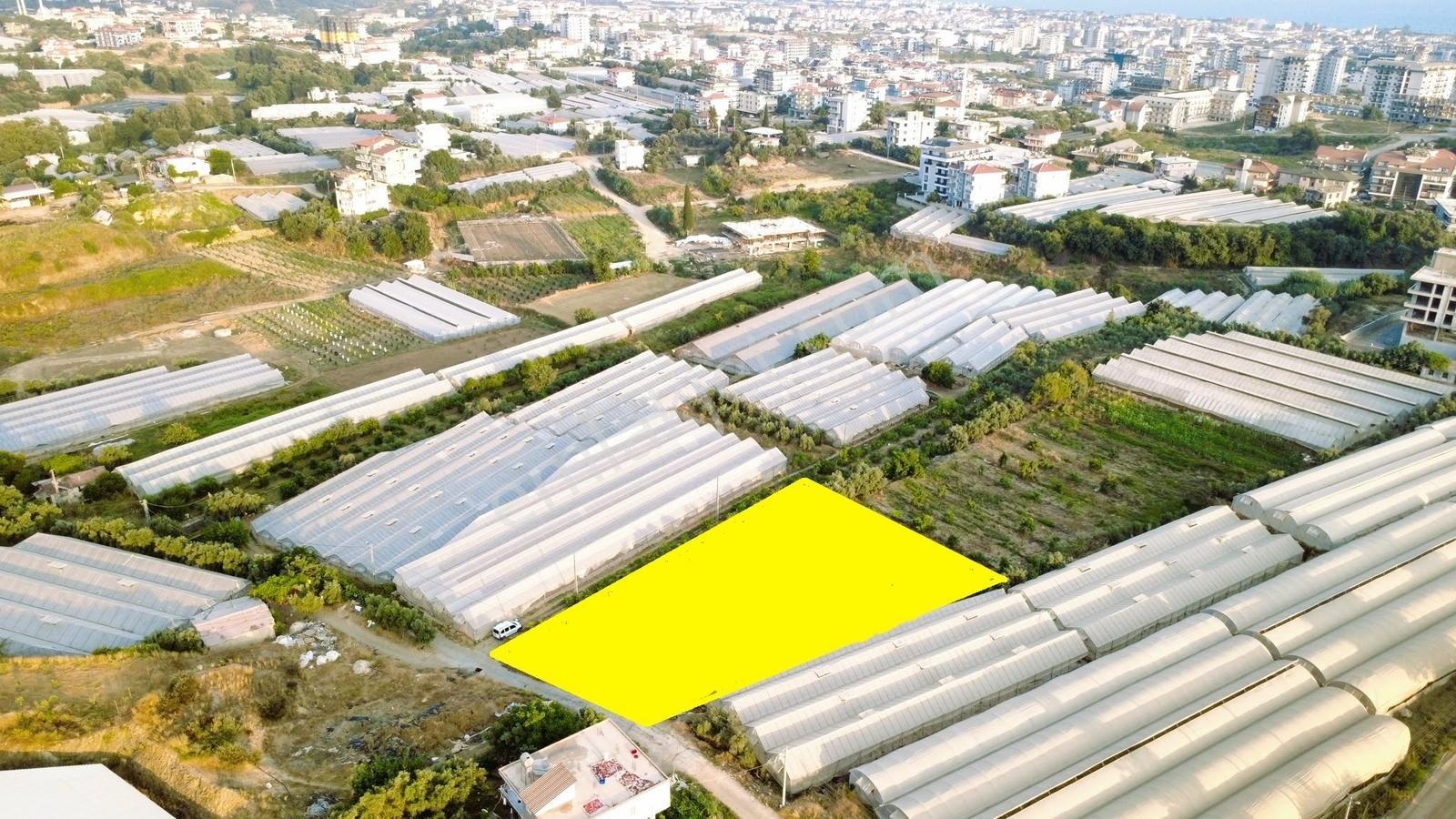 Payallarda Satılık 1.037 M2 İmarlı Arsa