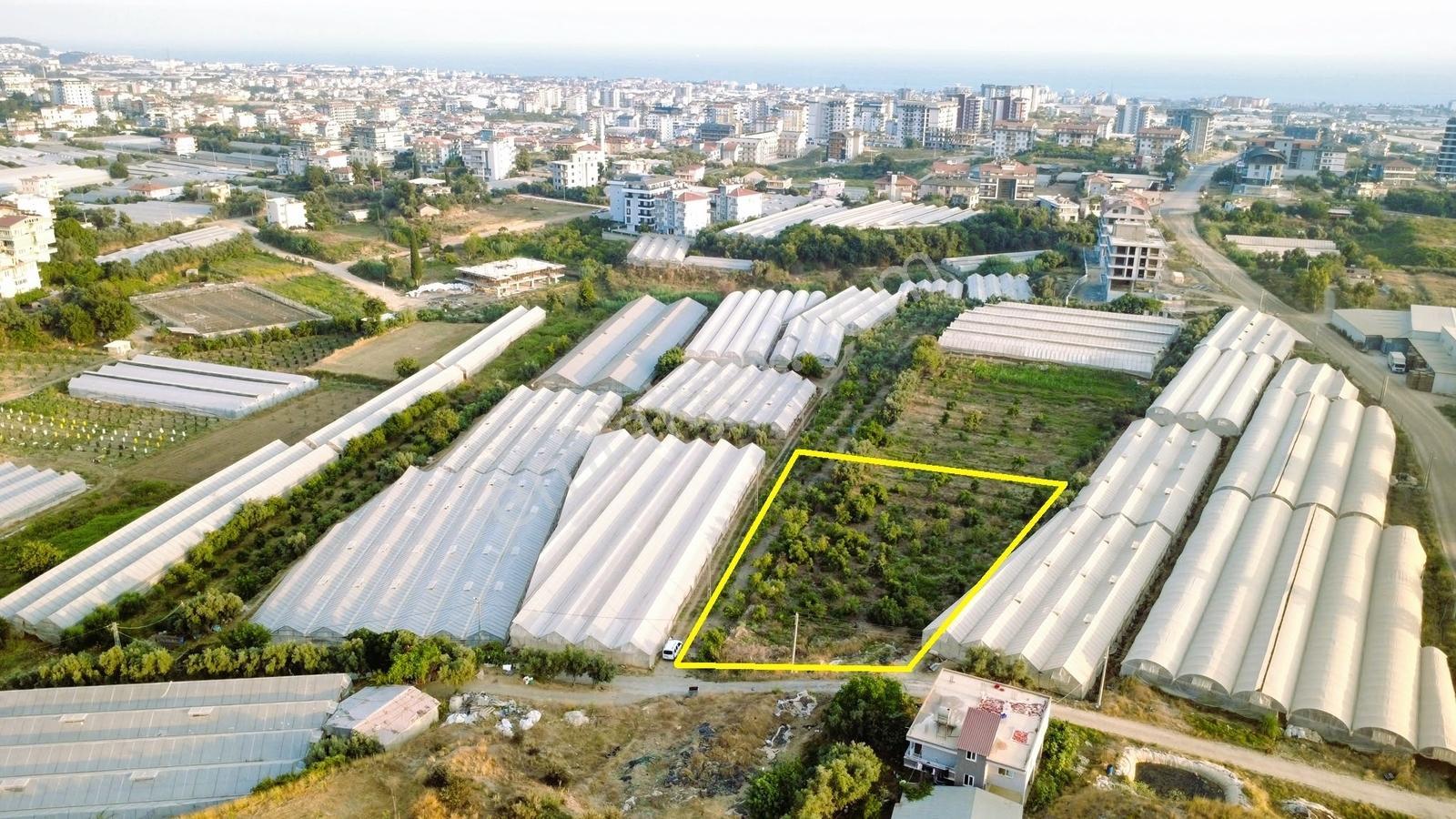 Payallarda Satılık 1.037 M2 İmarlı Arsa — fotoğraf 2