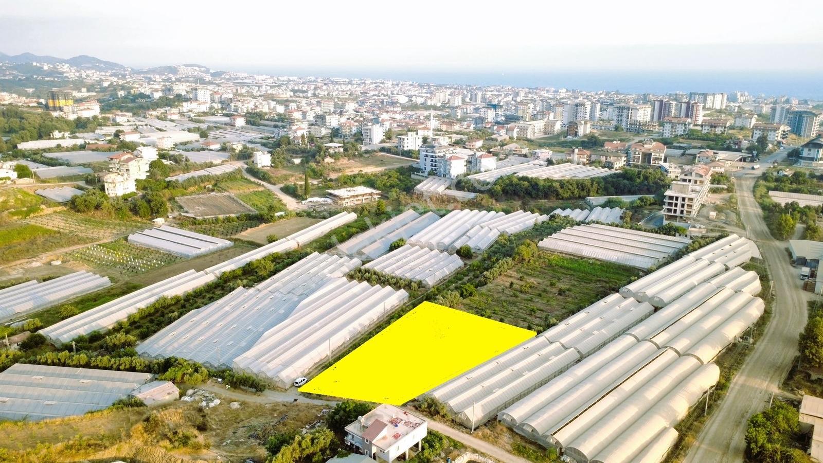 Payallarda Satılık 1.037 M2 İmarlı Arsa — fotoğraf 3