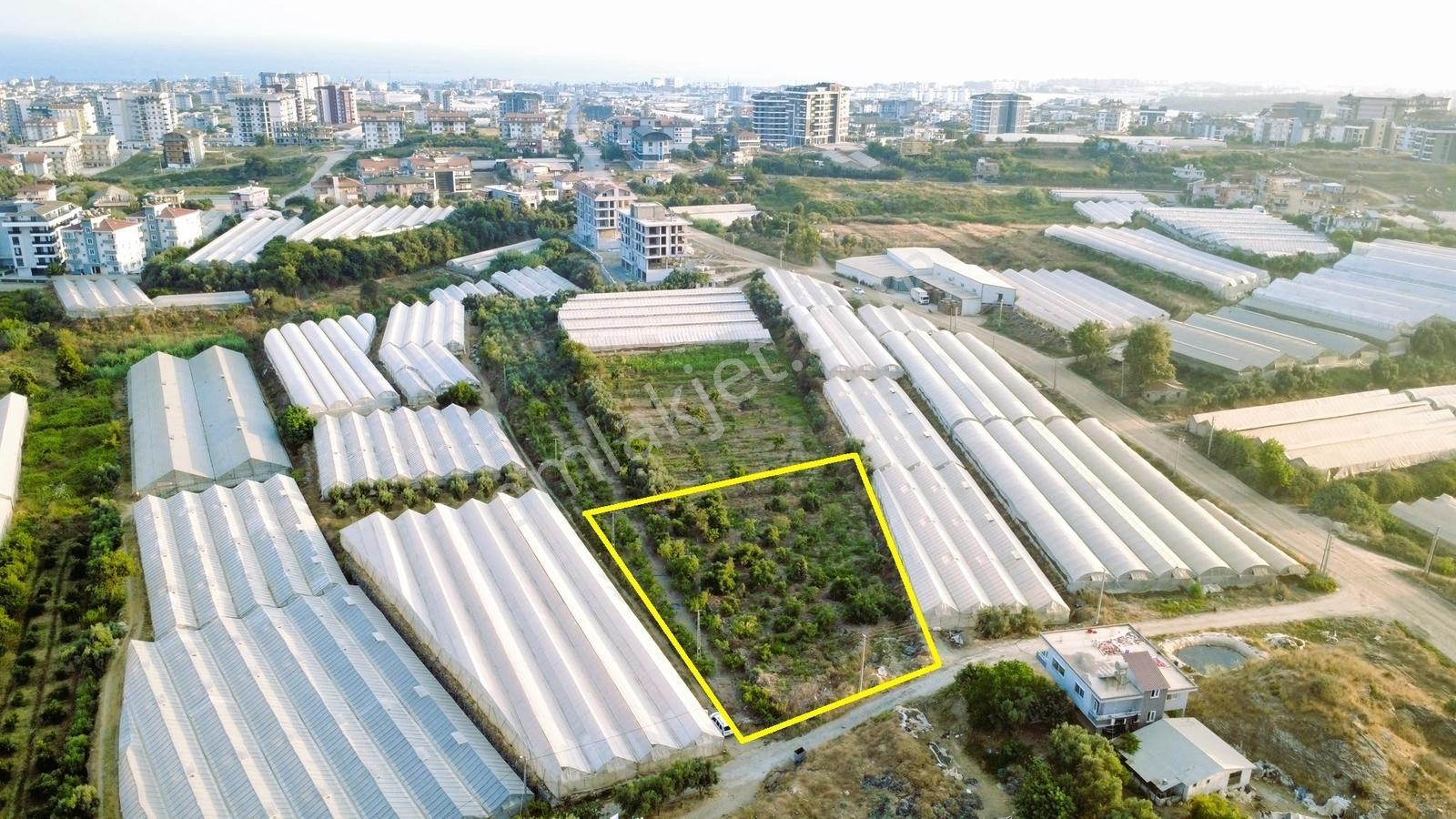 Payallarda Satılık 1.037 M2 İmarlı Arsa — fotoğraf 4