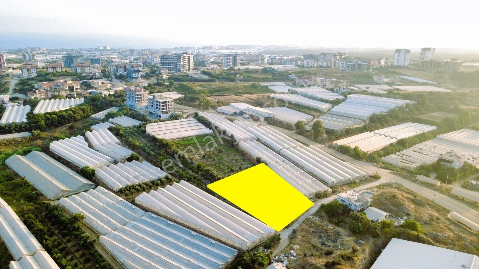 Payallarda Satılık 1.037 M2 İmarlı Arsa — fotoğraf 5