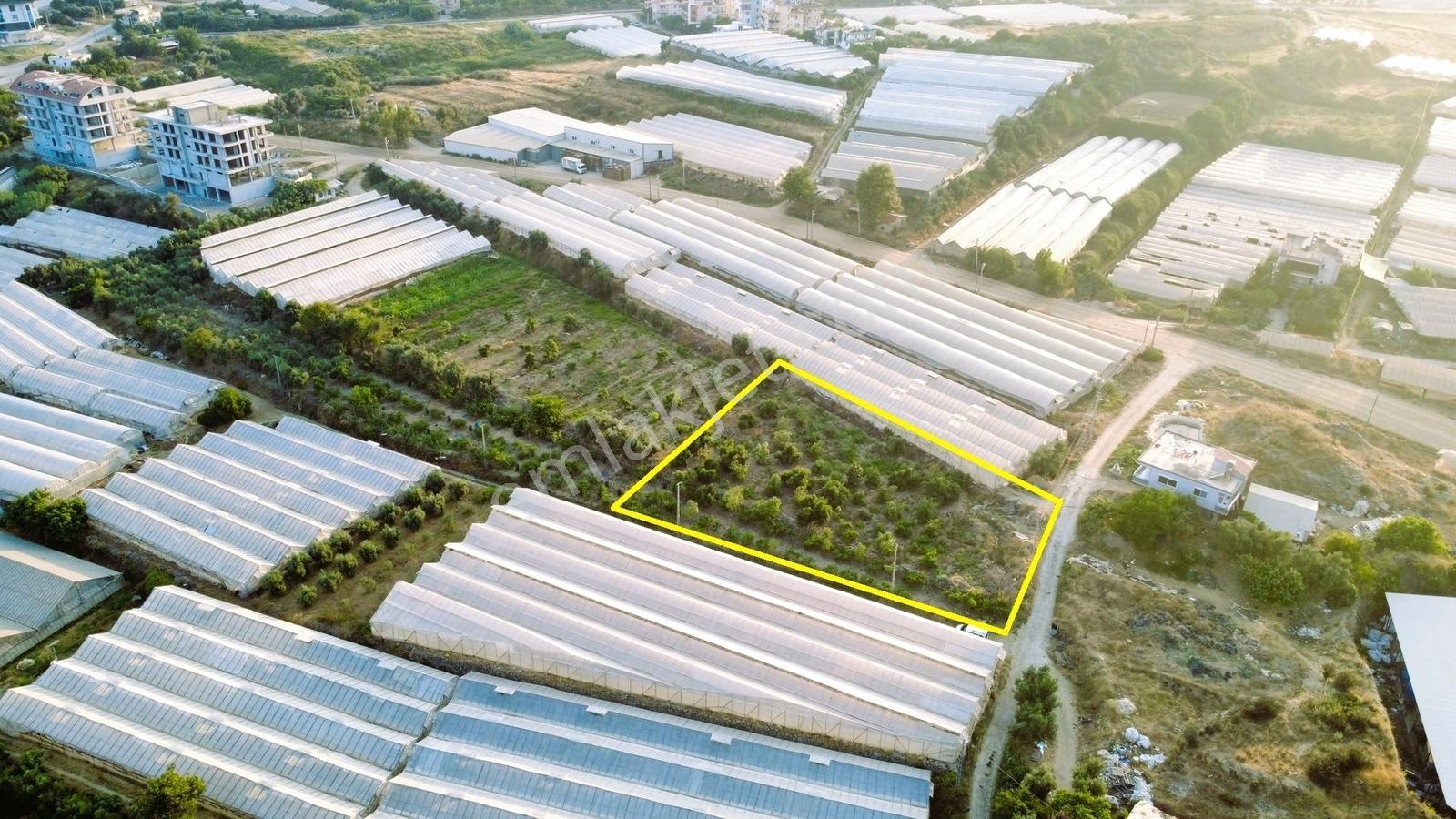 Payallarda Satılık 1.037 M2 İmarlı Arsa — fotoğraf 6
