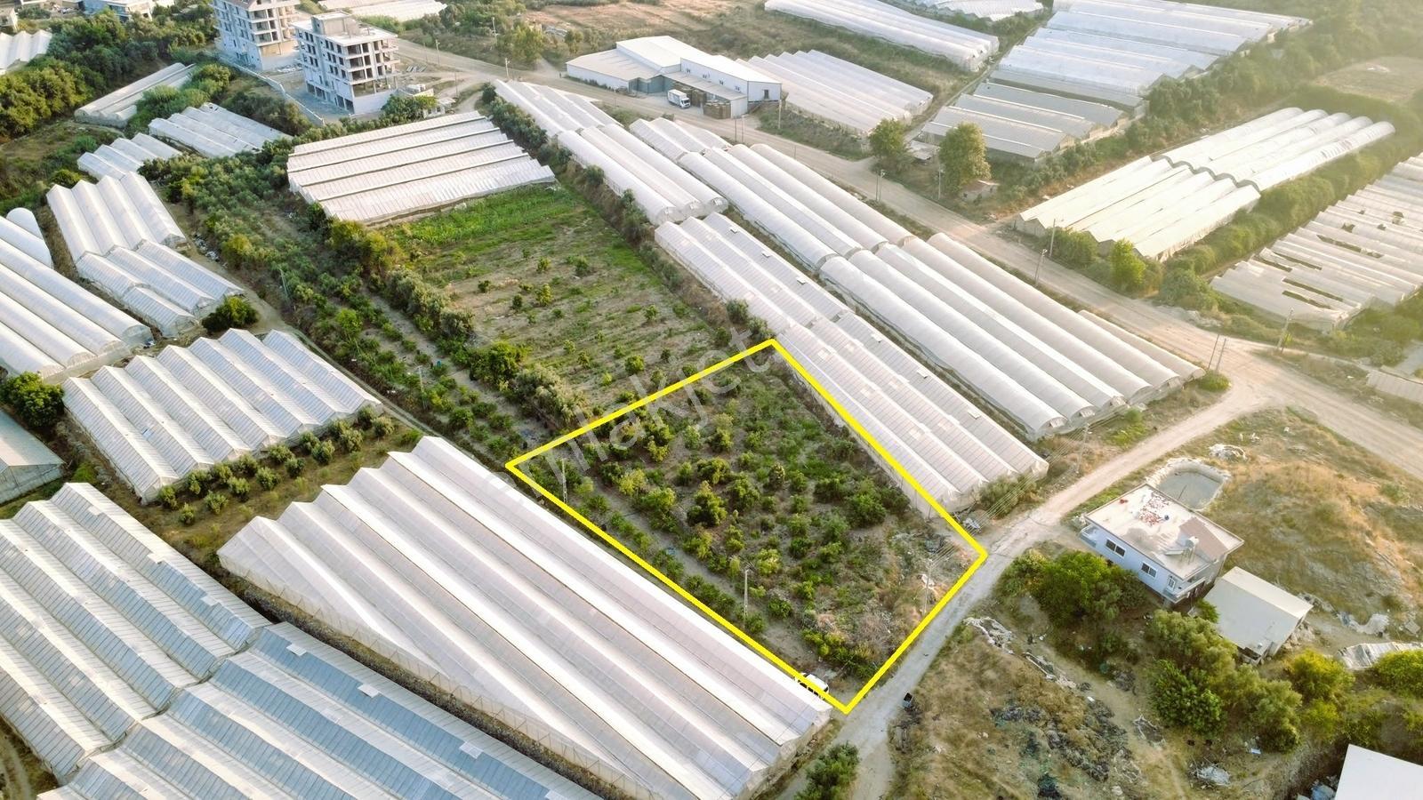 Payallarda Satılık 1.037 M2 İmarlı Arsa — fotoğraf 7
