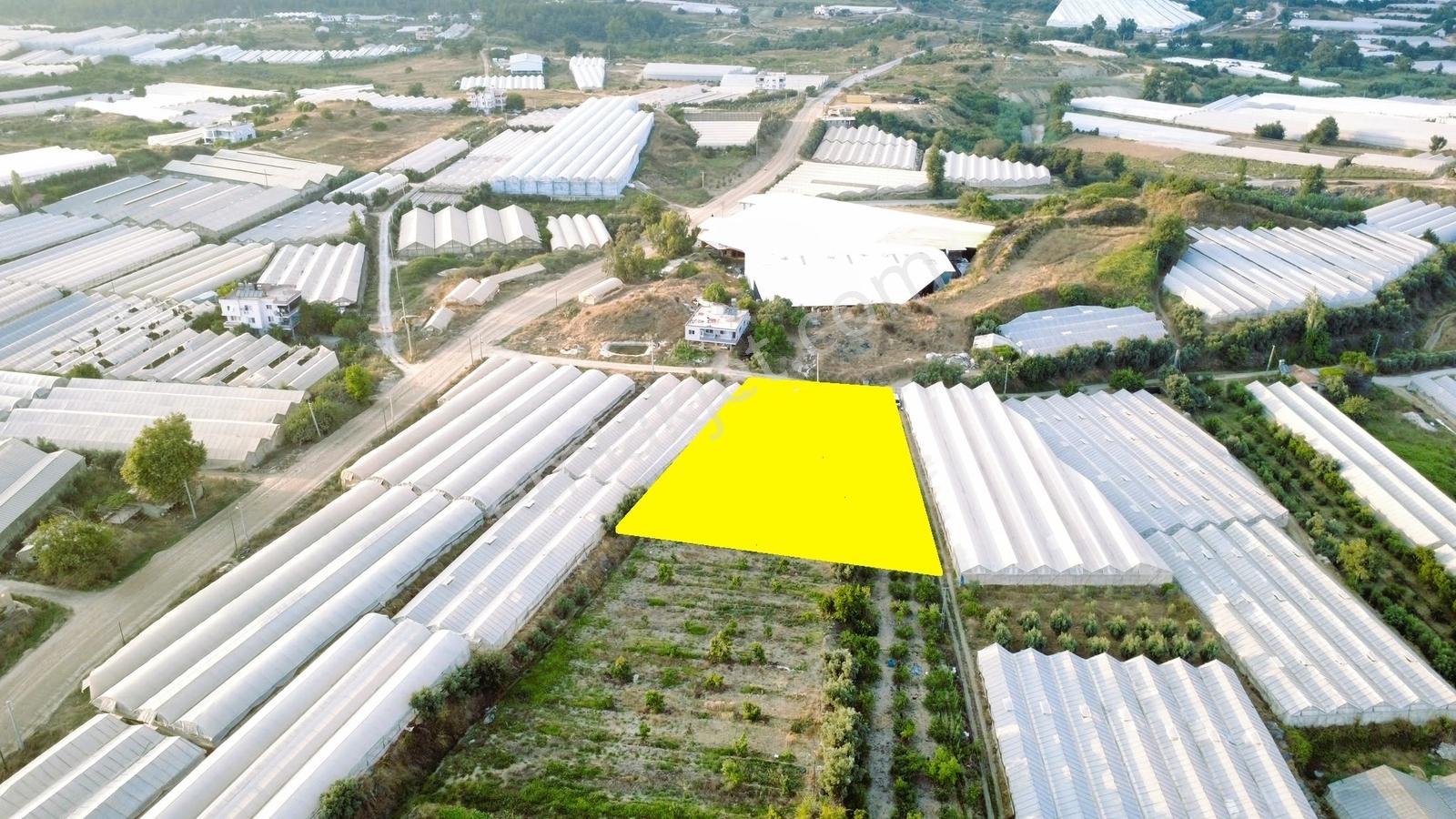 Payallarda Satılık 1.037 M2 İmarlı Arsa — fotoğraf 8