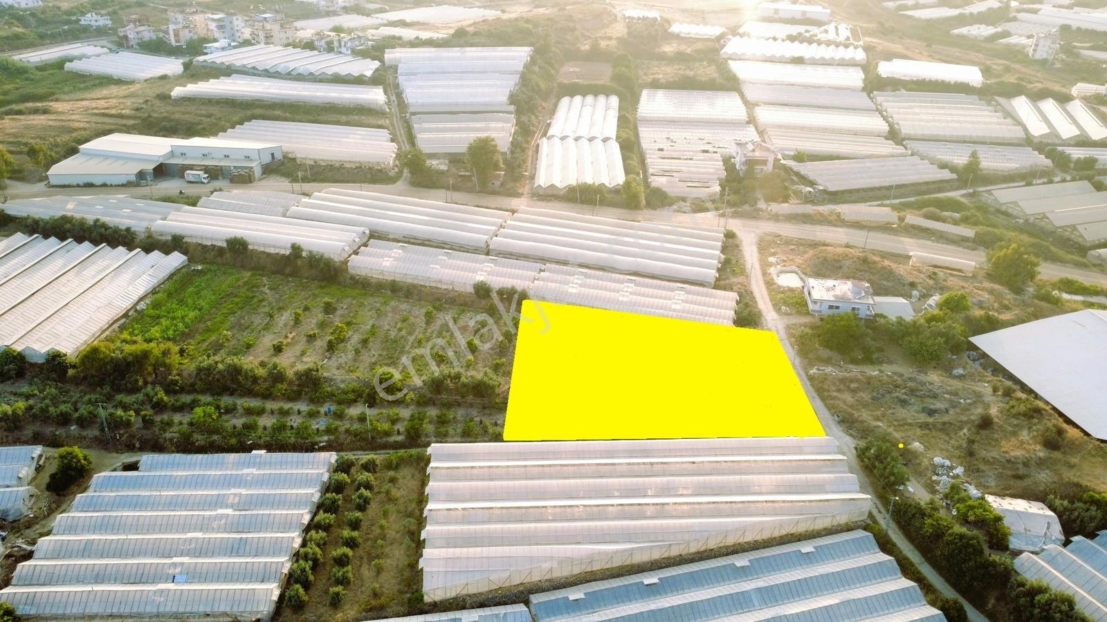 Payallarda Satılık 1.037 M2 İmarlı Arsa — fotoğraf 9