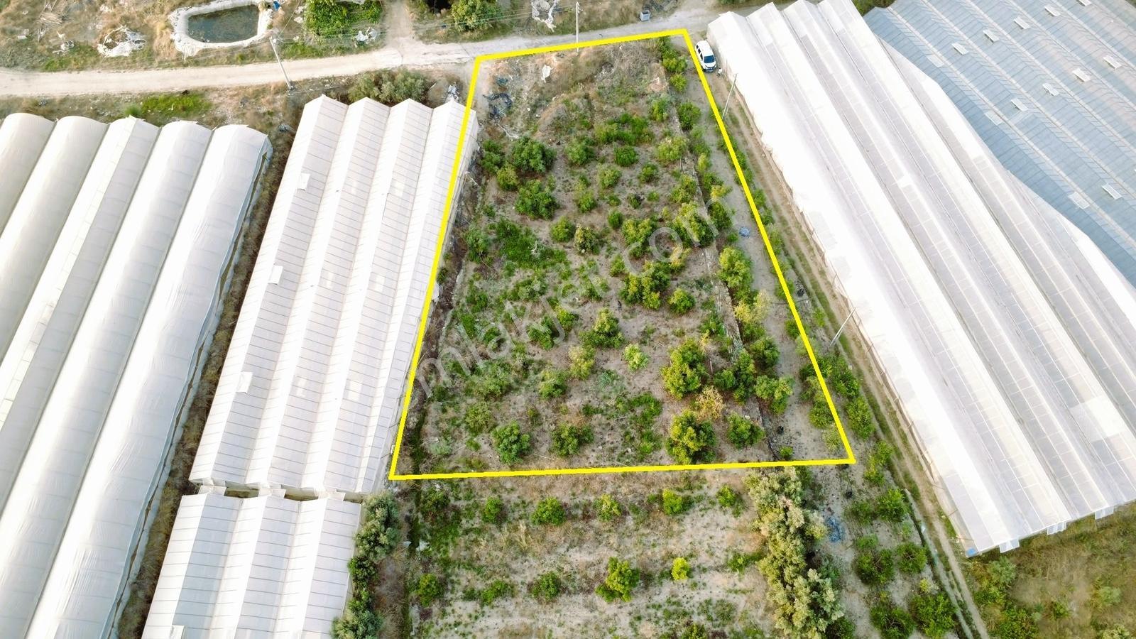 Payallarda Satılık 1.037 M2 İmarlı Arsa — fotoğraf 13